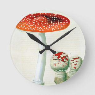 Amanita Muscaria from 'Phytographie Medicale' by J Round Clock