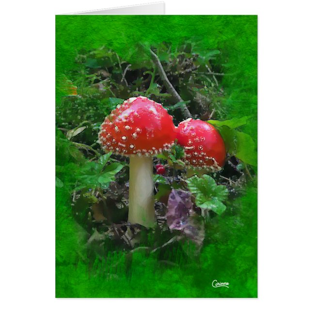 Amanita Muscaria on Green - 5" x 7" Art Card (Front)