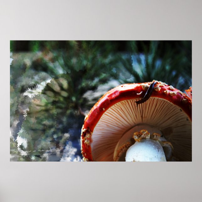 Amanita Muscaria with slug Poster (Front)