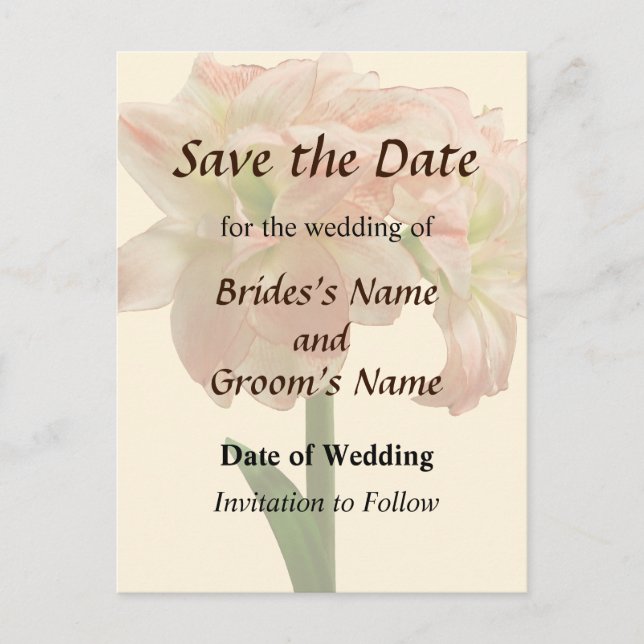 Amaryllis Aphrodite Save the Date Announcement Postcard (Front)