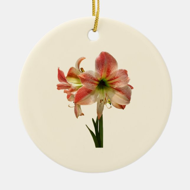 Amaryllis Apple Blossom Ceramic Tree Decoration (Front)