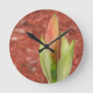 Amaryllis Apple blossom flower bud Round Clock