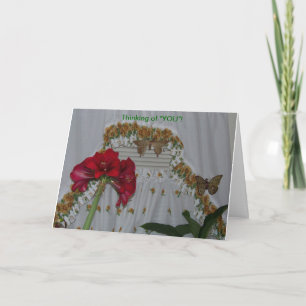 Amaryllis & Butterflies, Thinking of You Card