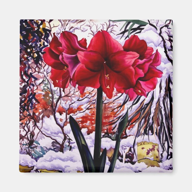 Amaryllis by Snow Window Magnet (Front)