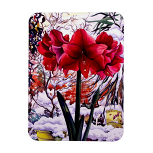 Amaryllis by Snow Window Magnet