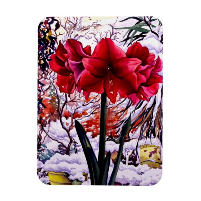Amaryllis by Snow Window Magnet (Vertical)