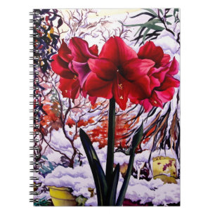 Amaryllis by Snow Window Notebook