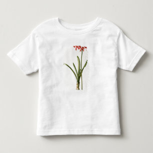 Amaryllis Curvifolia, 1809, from `Les Toddler T-Shirt