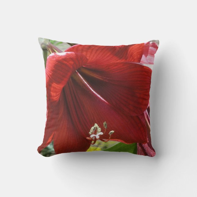 Amaryllis Cushion (Front)
