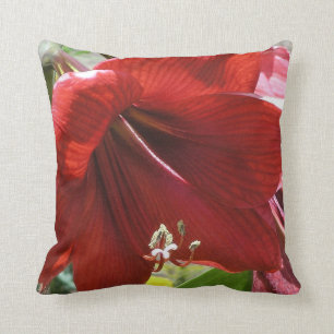 Amaryllis Cushion