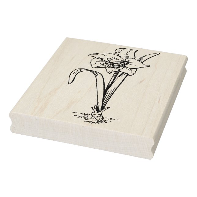 Amaryllis flower line drawing art stamp (Stamp)