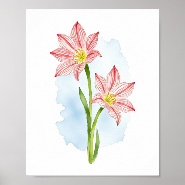 Amaryllis Flower Watercolor Poster (Front)