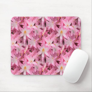 Amaryllis Galore...... Mouse Pad