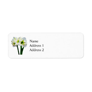 Amaryllis Green Princess Return Address Label