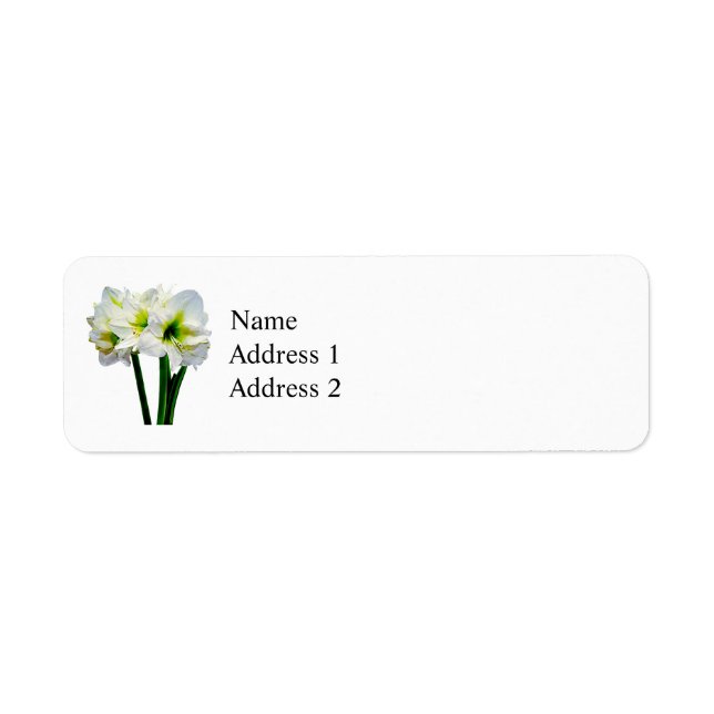 Amaryllis Green Princess Return Address Label (Front)