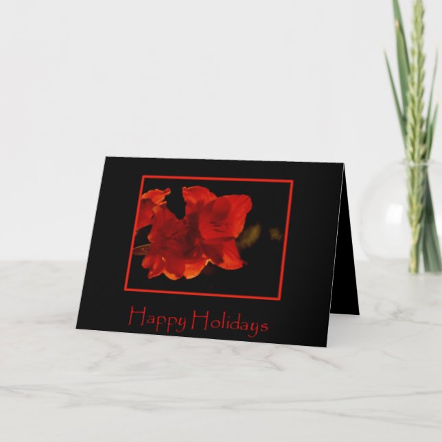 Amaryllis Holiday Card (Front)