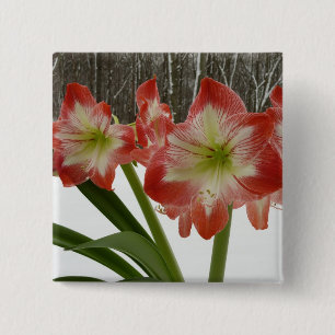 Amaryllis in Snow Red Holiday Winter Floral 15 Cm Square Badge