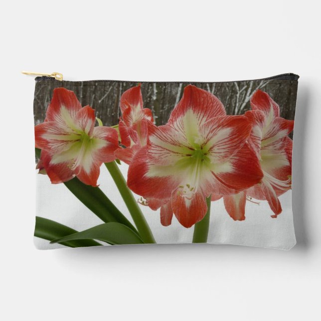 Amaryllis in Snow Red Holiday Winter Floral Accessory Pouch (Front)
