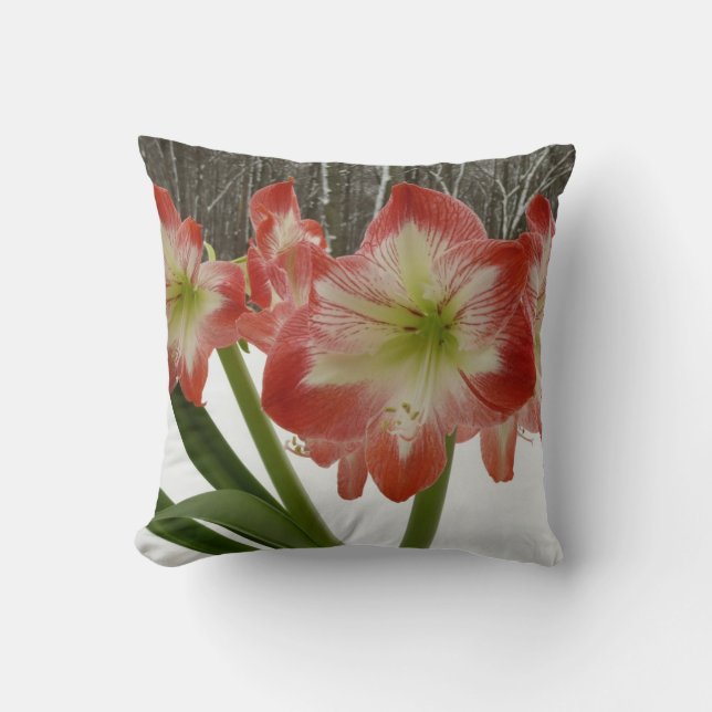 Amaryllis in Snow Red Holiday Winter Floral Cushion (Front)