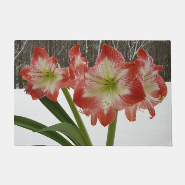 Amaryllis in Snow Red Holiday Winter Floral Doormat (Front)