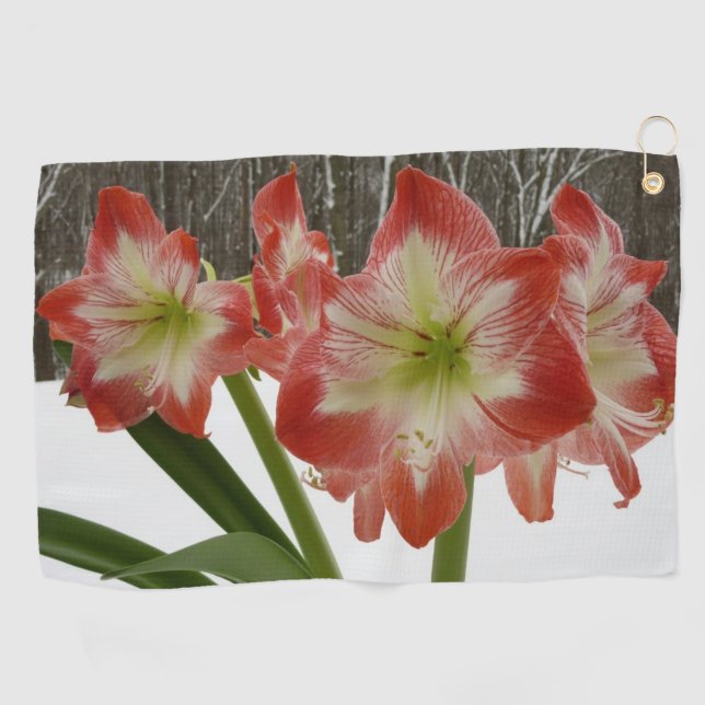Amaryllis in Snow Red Holiday Winter Floral Golf Towel (Horizontal)