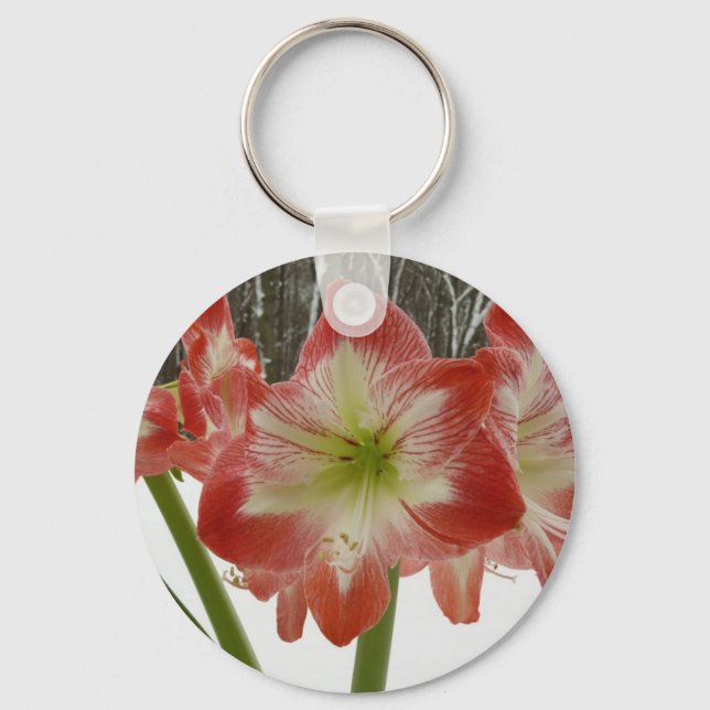 Amaryllis in Snow Red Holiday Winter Floral Key Ring (Front)