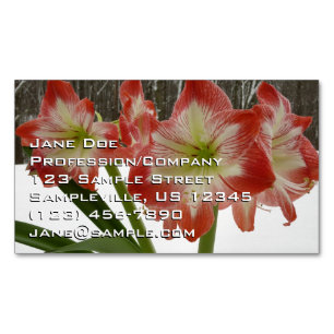 Amaryllis in Snow Red Holiday Winter Floral Magnetic Business Card