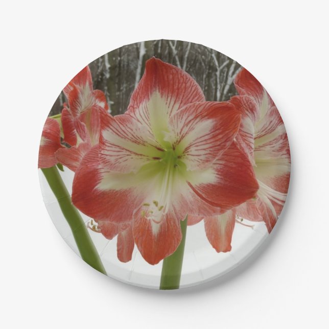 Amaryllis in Snow Red Holiday Winter Floral Paper Plate (Front)