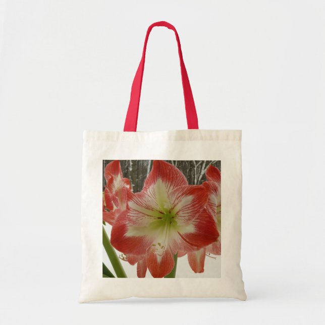 Amaryllis in Snow Red Holiday Winter Floral Tote Bag (Front)