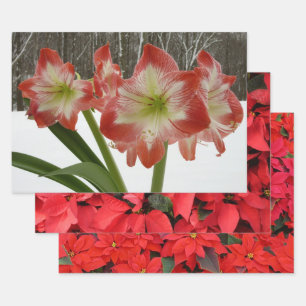 Amaryllis in Snow Red Holiday Winter Floral Wrapping Paper Sheet