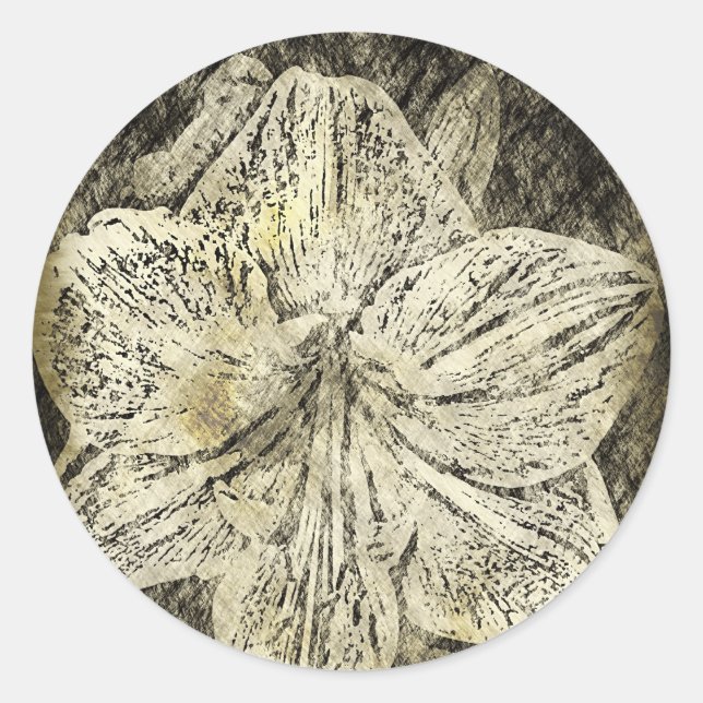 Amaryllis Old Time Sketch Classic Round Sticker (Front)