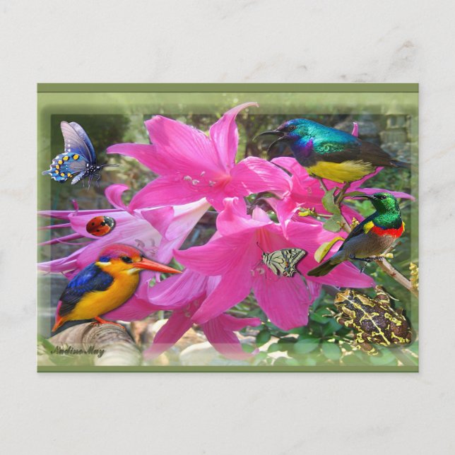 Amaryllis Party Invitation Postcard (Front)