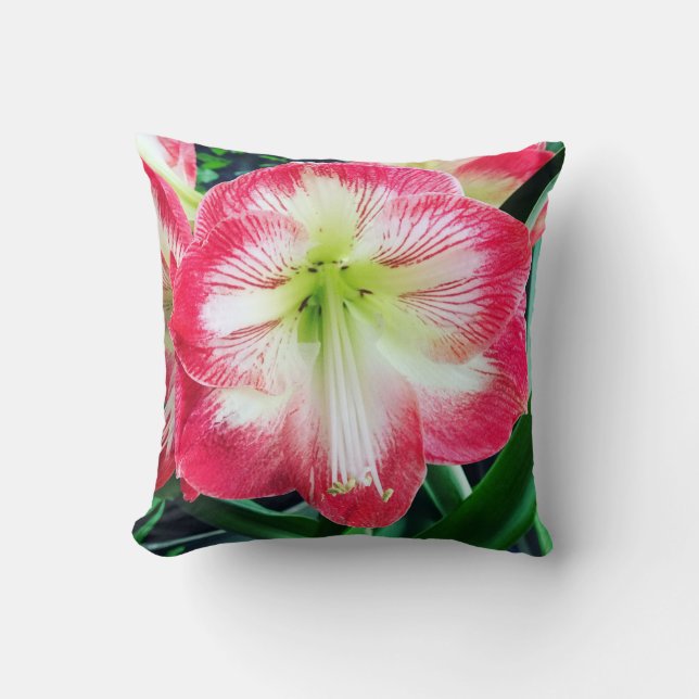 Amaryllis pink white colour gentle flower branch  cushion (Front)