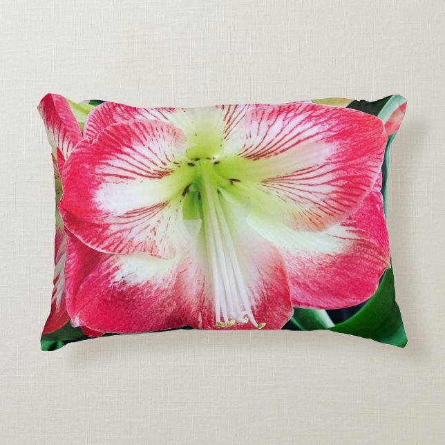 Amaryllis pink white colour gentle flower branch  decorative cushion (Front)
