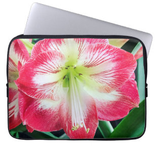 Amaryllis pink white colour gentle flower branch  laptop sleeve