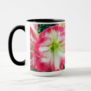 Amaryllis pink white colour gentle flower branch  mug