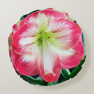 Amaryllis pink white colour gentle flower branch  round cushion