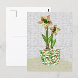 Amaryllis  Postcard