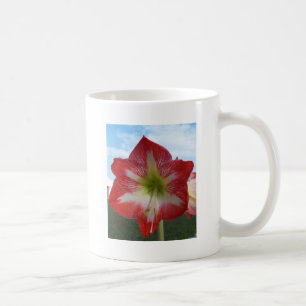 Amaryllis red and white MegaStar Coffee Mug