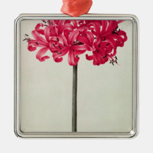 Amaryllis Sarniensis, or Narcissus Metal Ornament