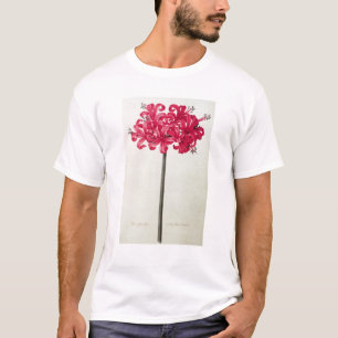 Amaryllis Sarniensis, or Narcissus T-Shirt
