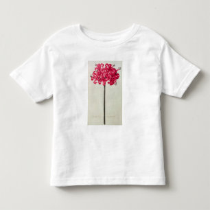 Amaryllis Sarniensis, or Narcissus Toddler T-Shirt