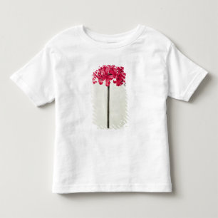 Amaryllis Sarniensis, or Narcissus Toddler T-Shirt