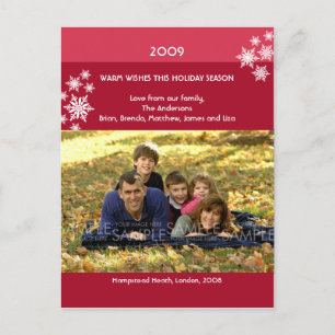 Amaryllis Snowflakes :: Christmas Photo Postcard