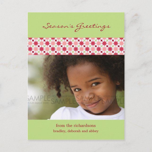 Amaryllis Stars :: Christmas Photo Postcard (Front)