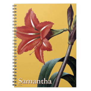 Amaryllis Striped Notebook