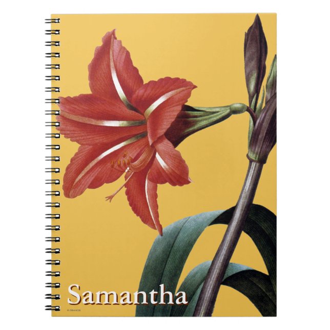 Amaryllis Striped Notebook (Front)