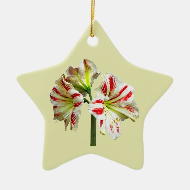 Amaryllis Sydney Ceramic Ornament (Front)