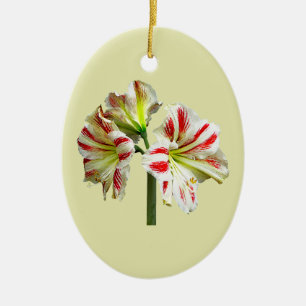 Amaryllis Sydney Ceramic Tree Decoration