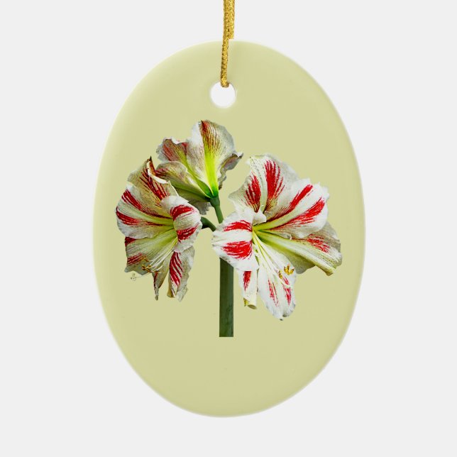 Amaryllis Sydney Ceramic Tree Decoration (Front)
